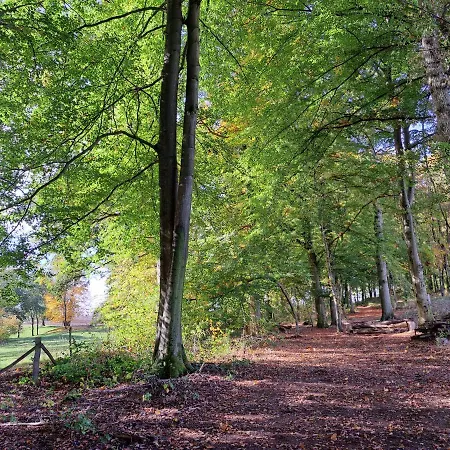 Steewer Gemuetliche Bis 6 Pers In Ruhiger Ortsrandlage * Stebach